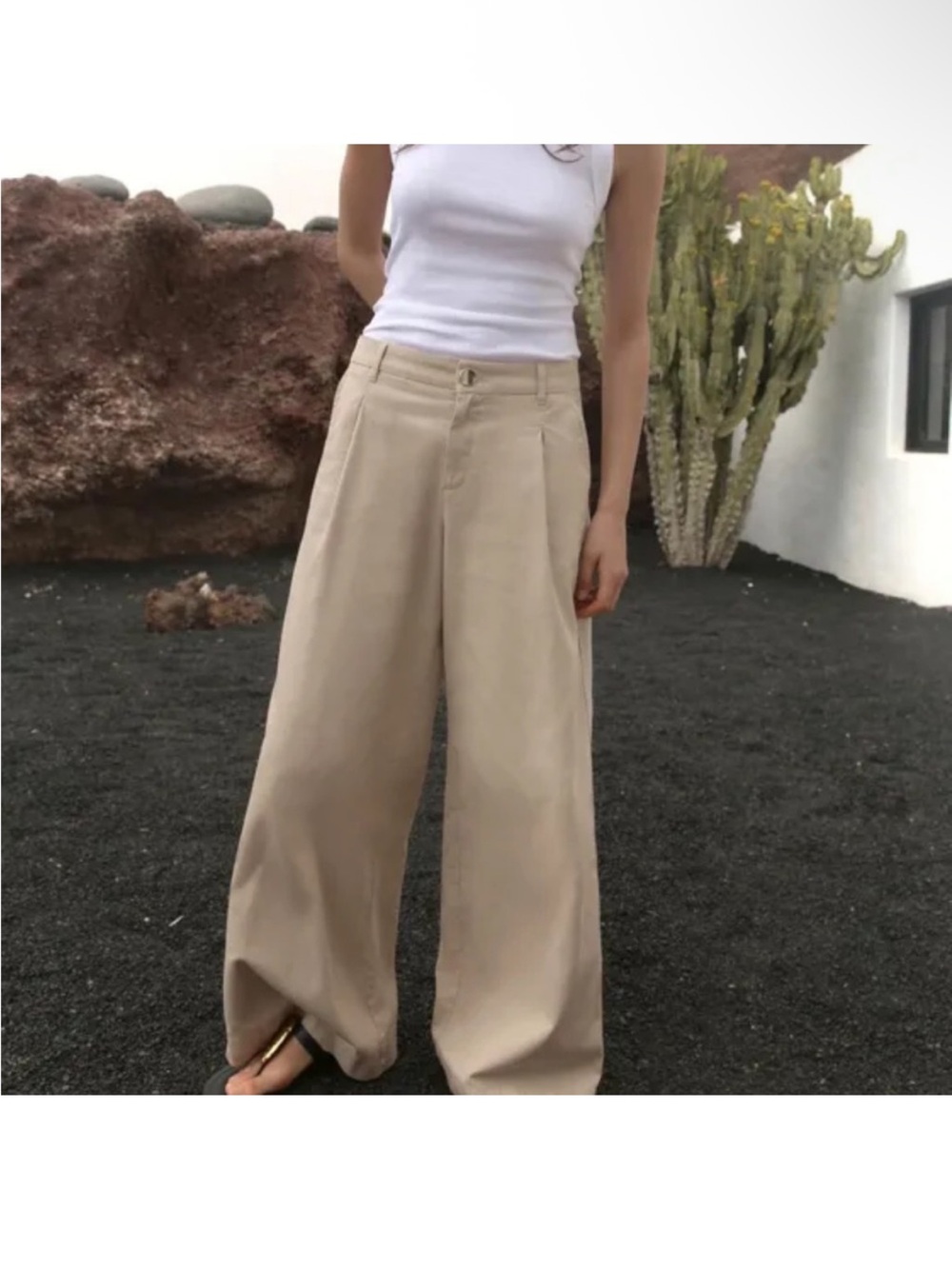 Zara Wide-Leg Beige Pants